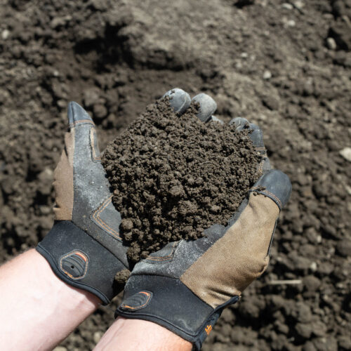 Screened Loam